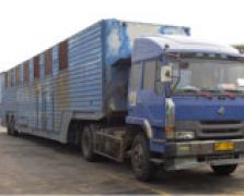 全封闭4桥车